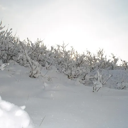 Zomerhuisje Wijk aan Zee