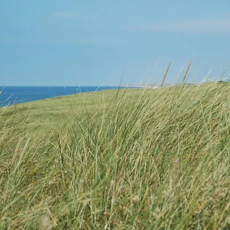 Zomerhuisje