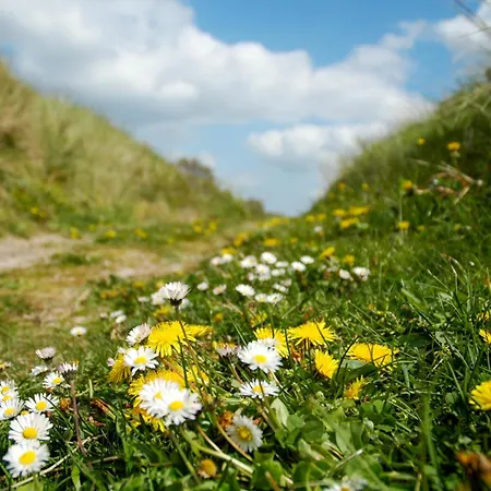 Zomerhuisje Wijk aan Zee