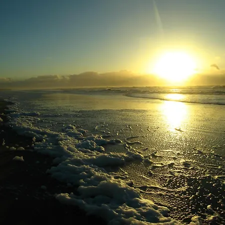 Hébergement de vacances Zomerhuisje
