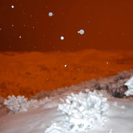 Hébergement de vacances Zomerhuisje Wijk aan Zee