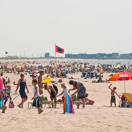 Hébergement de vacances Zomerhuisje