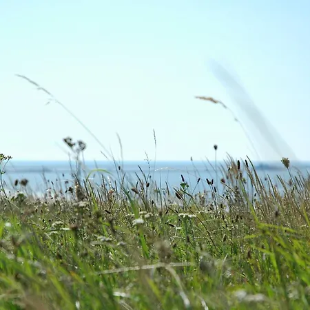 Zomerhuisje Hébergement de vacances *
