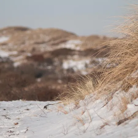 Hébergement de vacances Zomerhuisje *