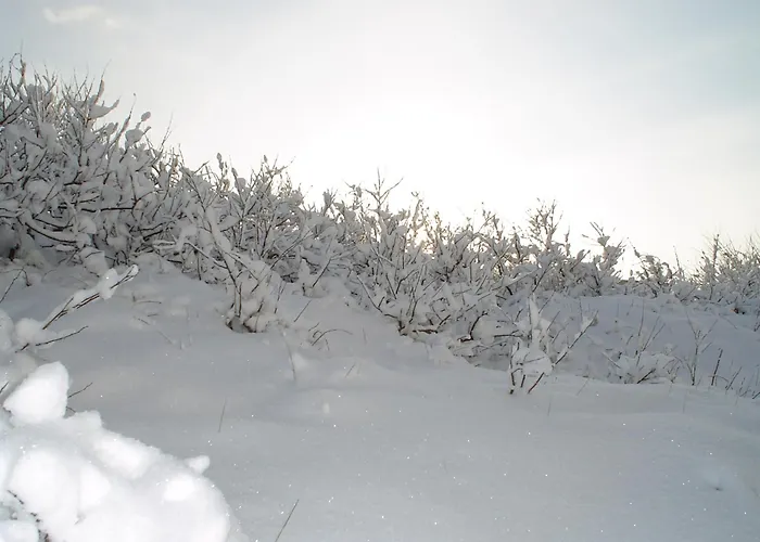 Zomerhuisje Wijk aan Zee