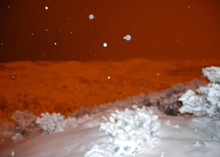 Casa vacanze Zomerhuisje Wijk aan Zee