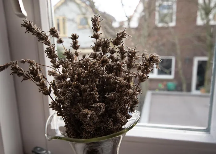 Casa vacanze Zomerhuisje *