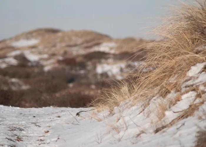 Casa vacanze Zomerhuisje *